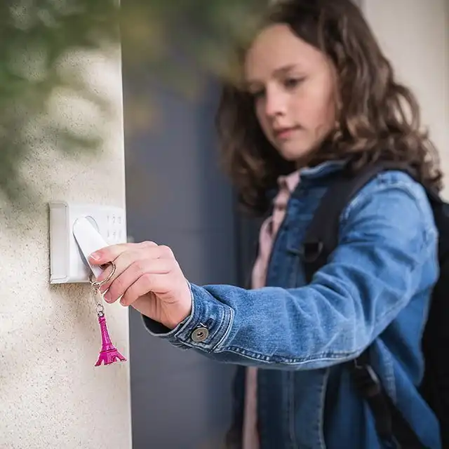 Somfy Door Keeper
